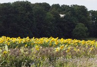 Drone over biodiversitetsstriber på Dansk Planteværns demofarm Foto: Dansk Planteværn